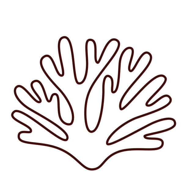 Coral Nurseries Icon