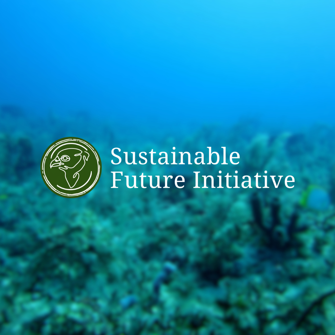 Join the Next Policy Hack